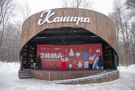 День в зимние каникулы