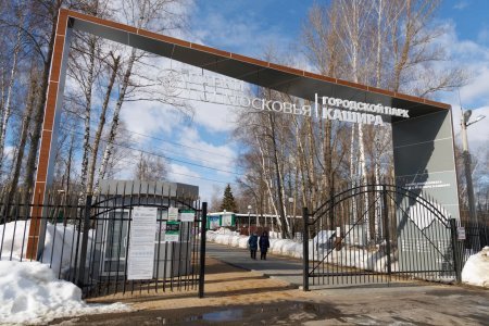 8 Марта в парке