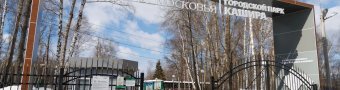 8 Марта в парке
