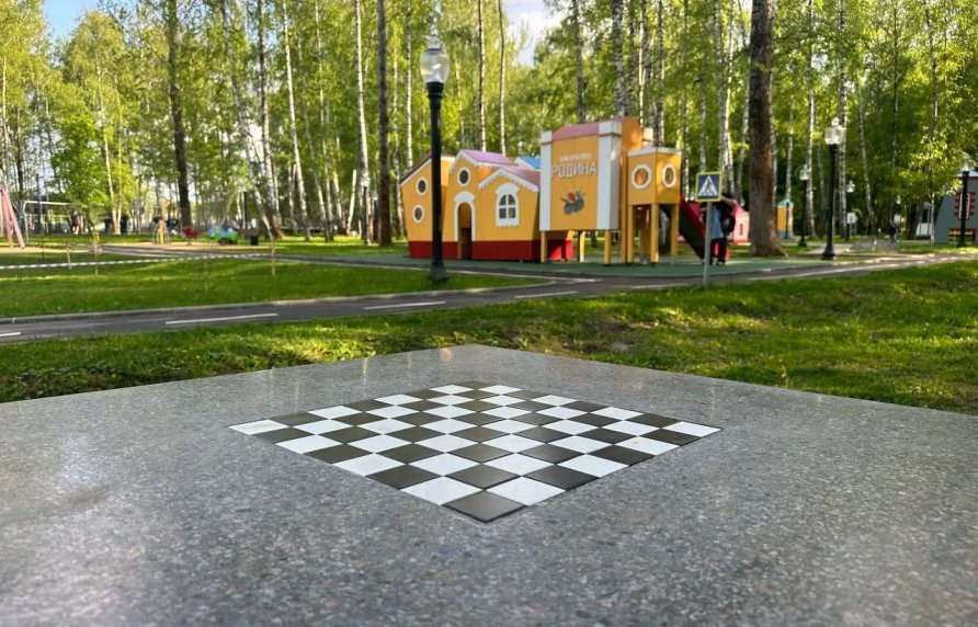 Шахматы