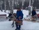 Катания в Парке